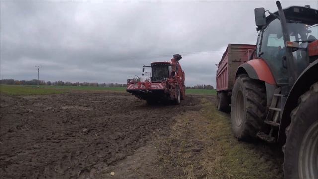 VYORÁVÁNÍ CUKROVÉ ŘEPY/HOLMER TERRA DOS T4-40/ZD UNČOVICE