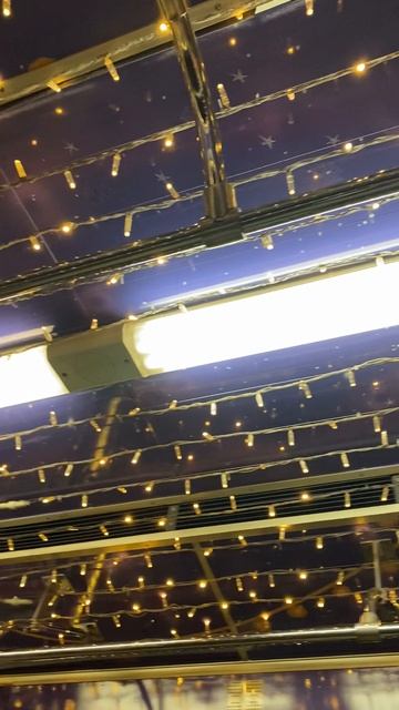Прокатимся в новогоднем поезде в метро 🚇🎄🎉