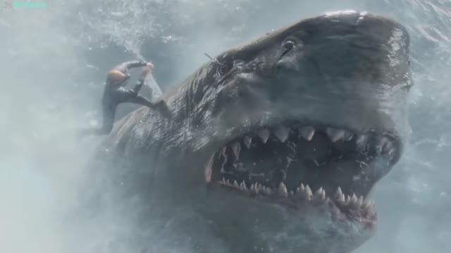 Тайны океанов или Земля до человека [Сборник]