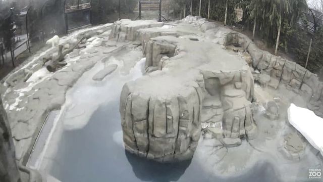 Мишка скучает