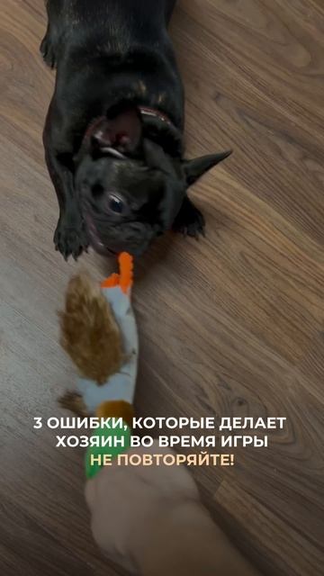 И ЭТО…