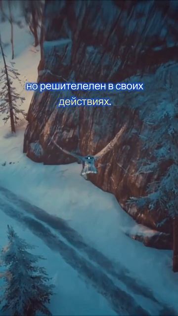 Лучший