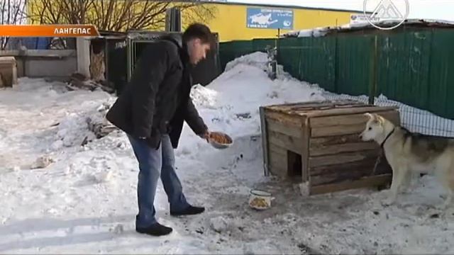 Лангепас - Новости - 2017.04.11