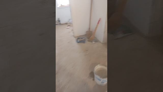 Привез Слона.