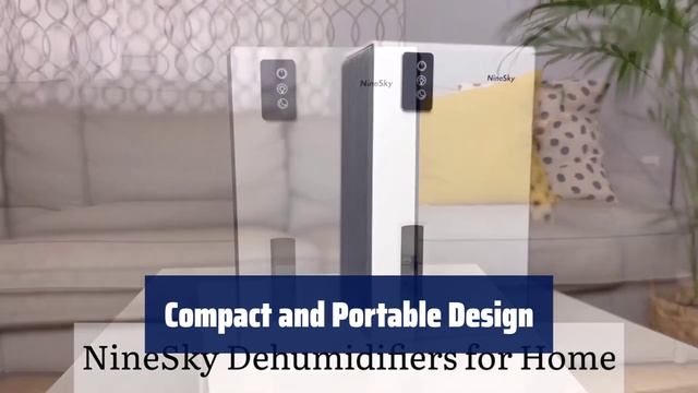 The Top 5 Best Dehumidifiers in 2024 - Must Watch Before Buying!