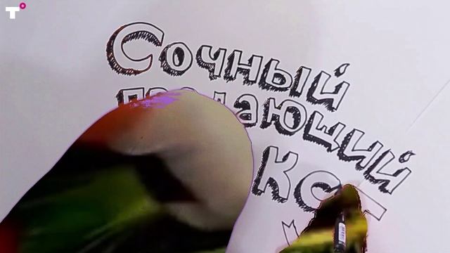 ТОТ САМЫЙ ЮРИСТ | ПРОМО