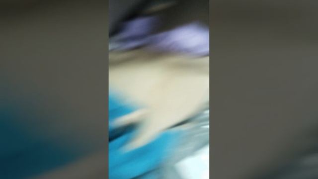 Соня и Алиса! топопяться в садик🏃