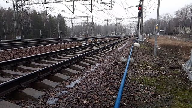 VID_20250201_142536.mp4