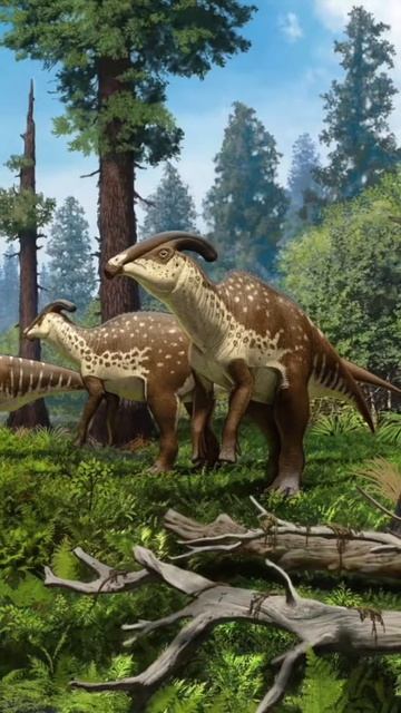 New Dinosaur Skull Discovered - 2021