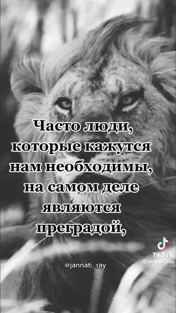 мотивация