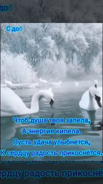 С добрым утром.