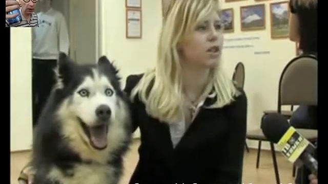 Главное не палиться! XDD