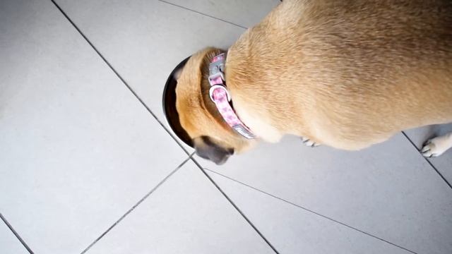 Peaches' Weight Loss Journey - Episode 1