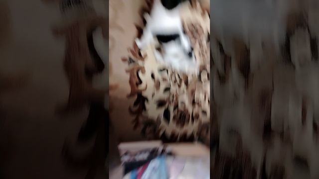 1000007542.mp4