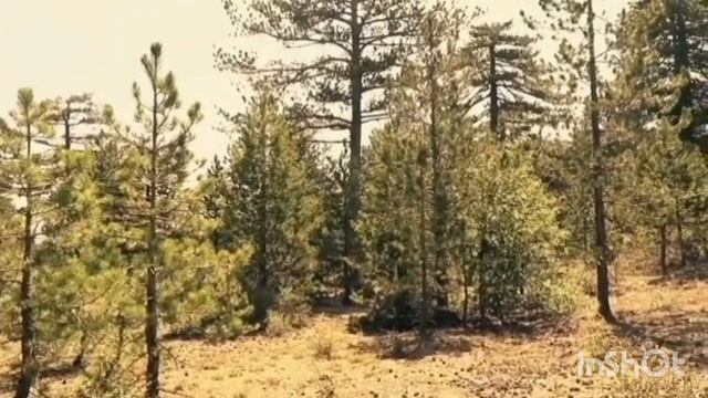 Святая Церковь и религия