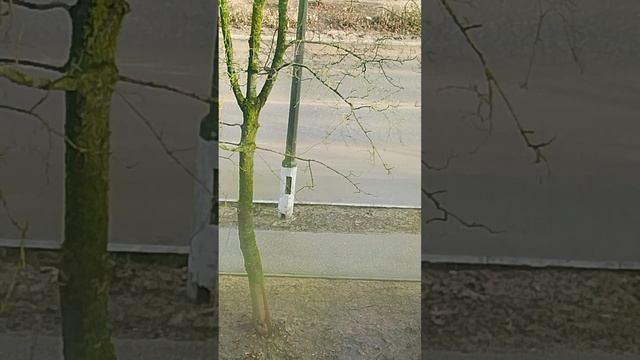 1000007436.mp4