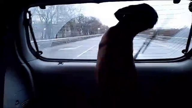 1000033056.mp4