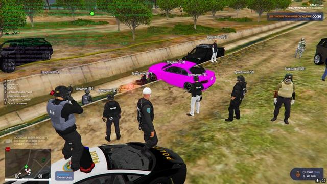 Fib Pd