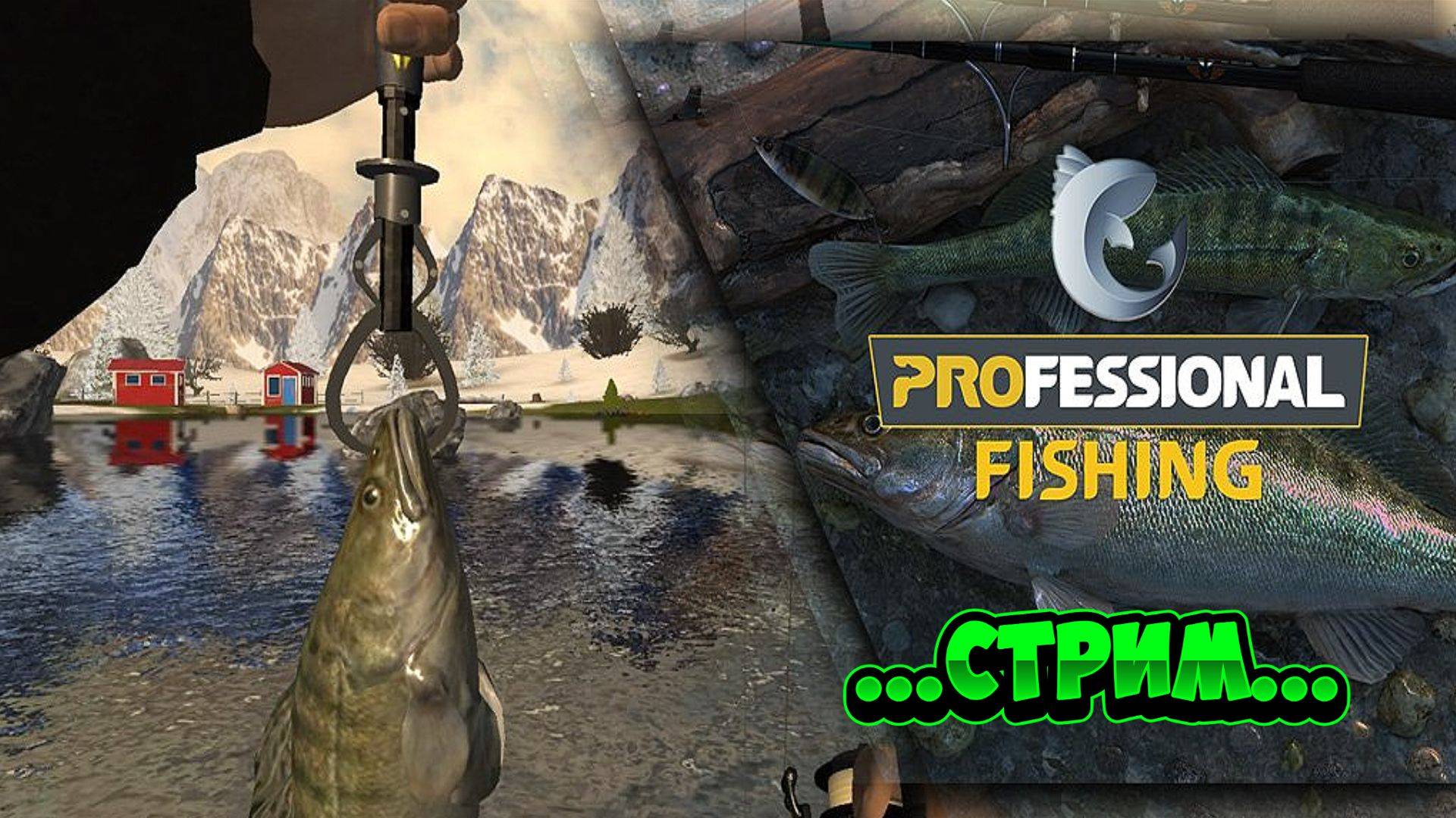 Professional Fishing Стрим Рыбалка Онлайн На Карася