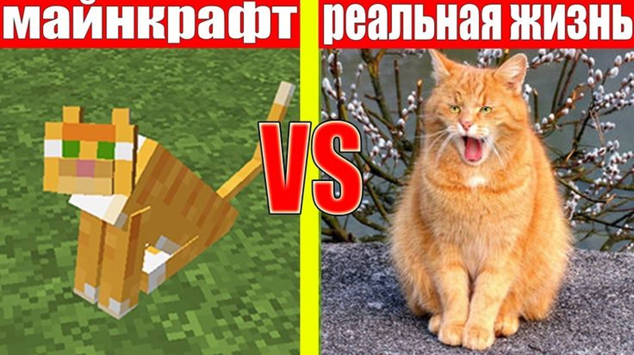МАЙНКРАФТ ПРОТИВ РЕАЛЬНОЙ ЖИЗНИ 10  MINECRAFT VS REAL LIFE  МУЛЬТИК МАЙНКРАФТ