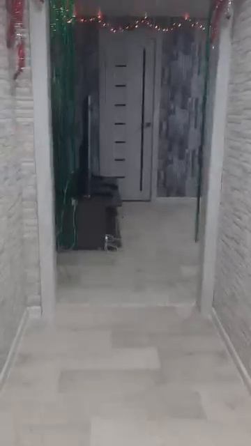 #vines #video #получил 2 семья 1 серия