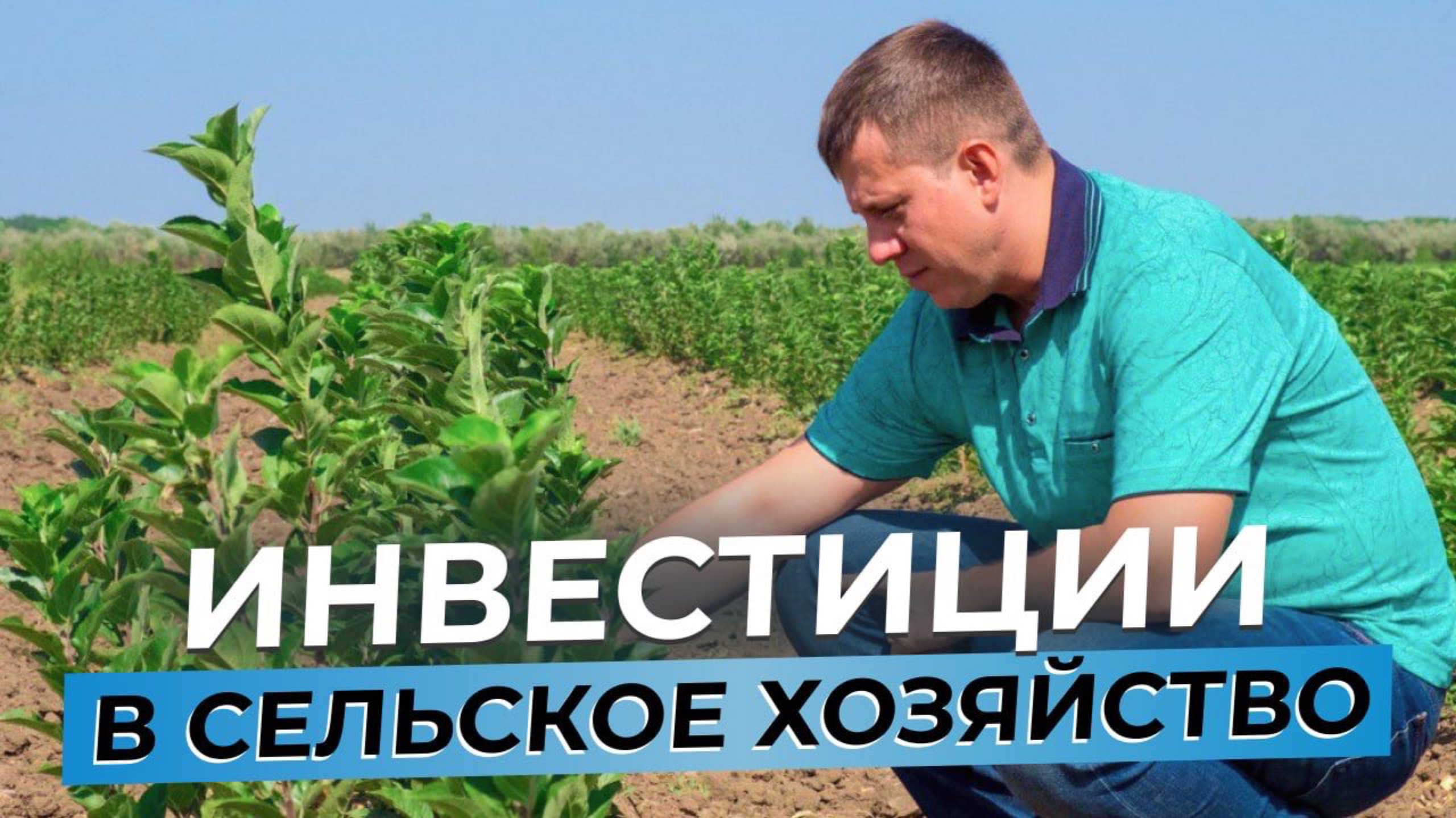 КАК НЕ ПОТЕРЯТЬ ДЕНЬГИ В 2025 ГОДУ - Инвестиции в сельское хозяйство