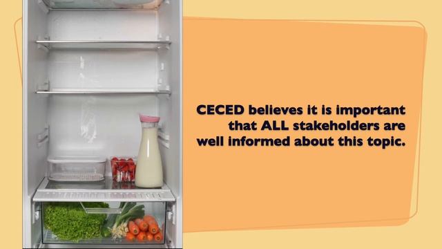 CECED's Fridges Testing Workshop, March 2017