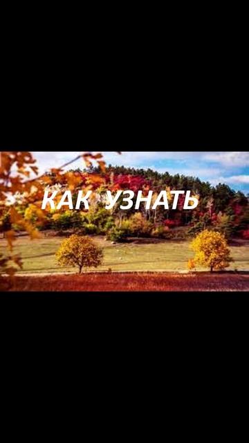КАК  УЗНАТЬ