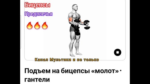 Техника выполнения 💥 Подъем на бицепс《Молот》• Гантели  ✅️ 💪🙂