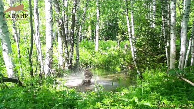 Открытие купального сезона на Салаире