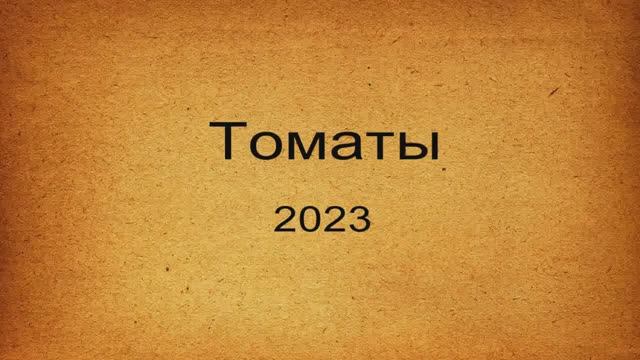 Томаты 2023