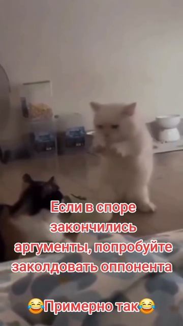 Если в споре кончились аргументы то попробуйте заколдовать оппонента 🤣