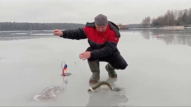 проверка жерлиц