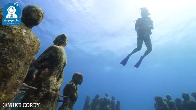 Best Dive Sites In Mexico