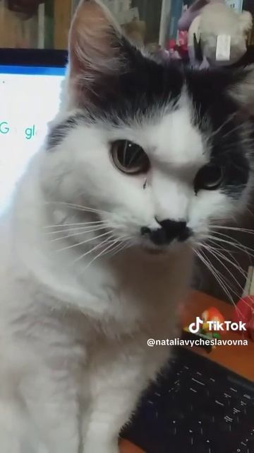 Мысли вслух...)))
