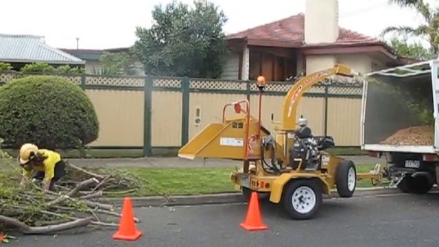 Tree Care ~ Progroup Property Services