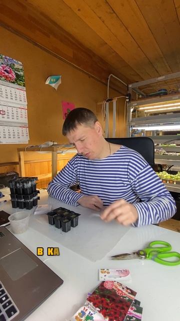 Пора сеять петунии