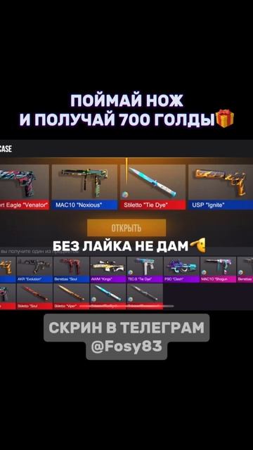 1000009424.mp4