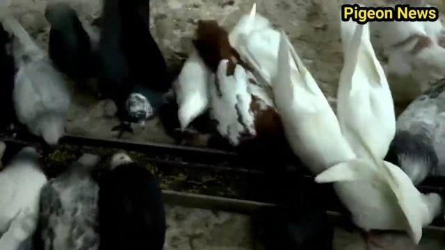 Be yourself будь собой)))