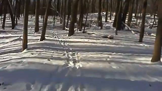 2012-01-21_10.09.21_00002.mp4