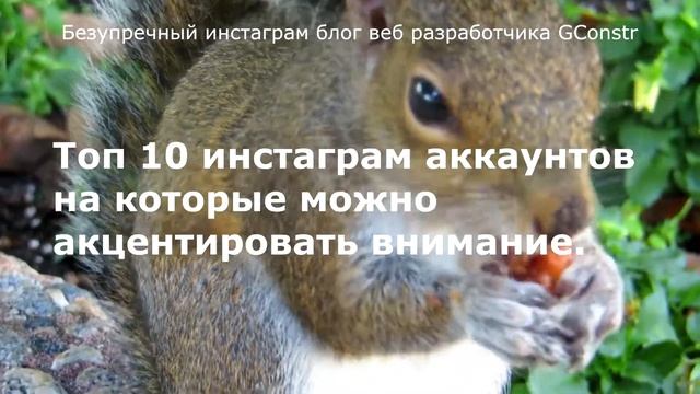 Добротный инста дневник разработчика сайтов GConstr