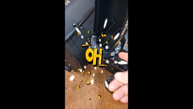 1000014310.mp4 (Собака наблюдает за новым снегоуборщиком)