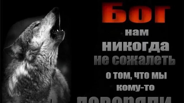 мудрые слова