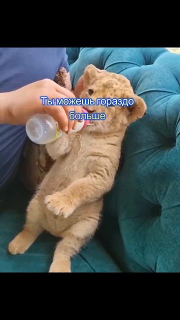 Источник усталости