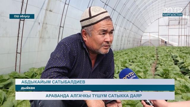 АРАВАНДА АЛГАЧКЫ ТҮШҮМ САТЫККА ДАЯР