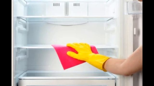 Cleaning the Refrigerator