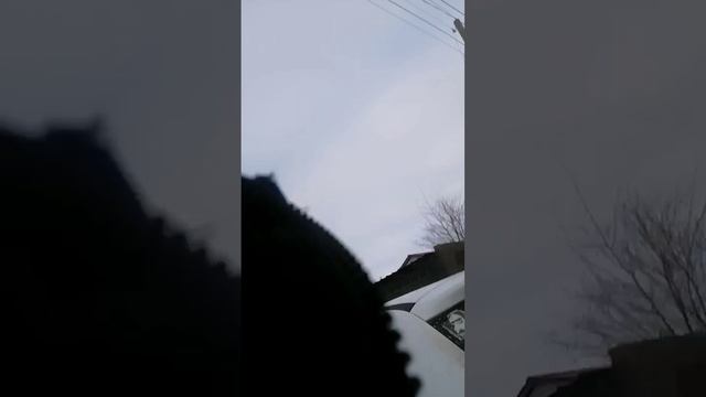 Мойка высокого давления. 24в