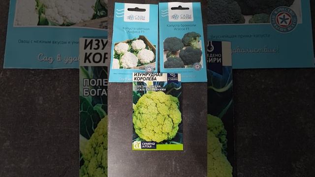 Семена цветной капусты и капусты брокколи.