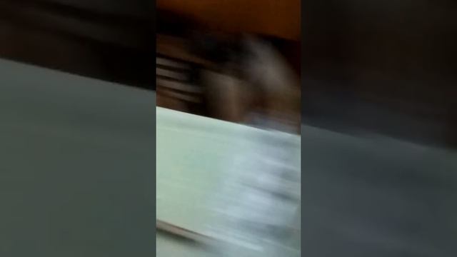 Unpacked Polizor Scheppach tiger 2500  polizor/masina de ascutire cu racire cu apa.