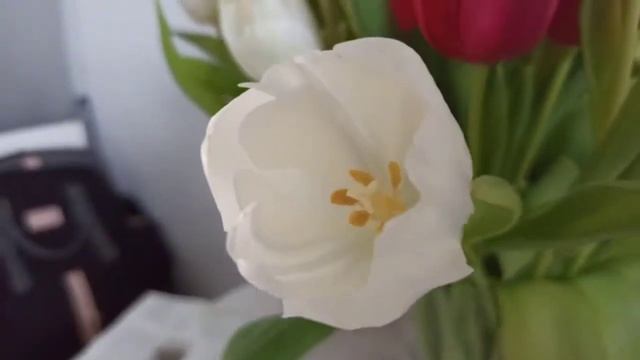 23.02 Куриные ножки с бататом и фасолью в медово-бальзамическом соусе